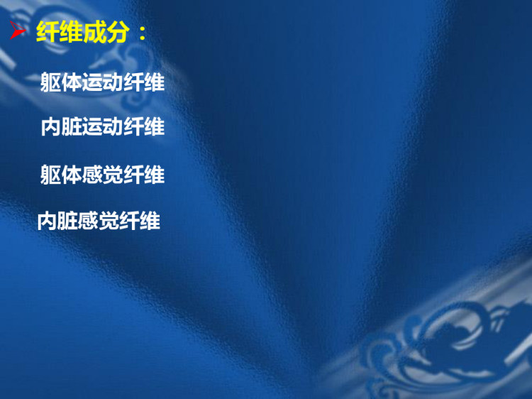 系统解剖学脊神经PPT