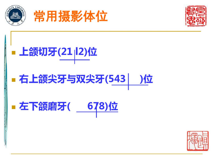 线摄影位置学6牙科摄影位置PPT