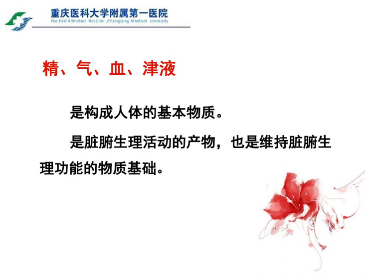 藏象学说PPT