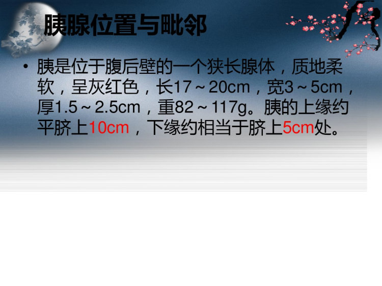 胰肾上腺正常解剖及常见病变PPT