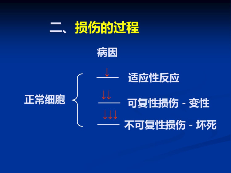 组织损伤与修复PPT