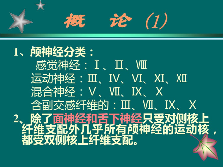 神经内科分析与诊断PPT