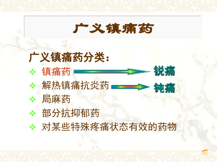《药物应用护理》教学PPT:镇痛药PPT