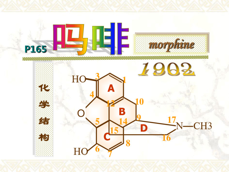 《药物应用护理》教学PPT：镇痛药PPT