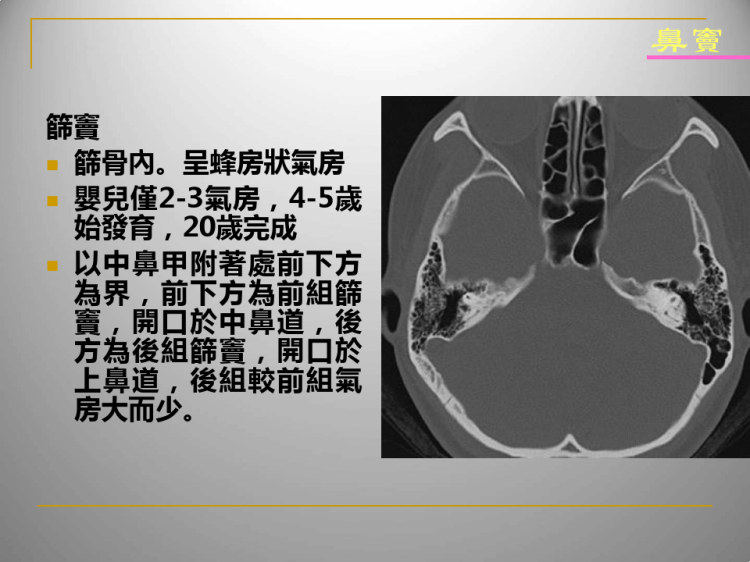 鼻及鼻窦影像诊断PPT