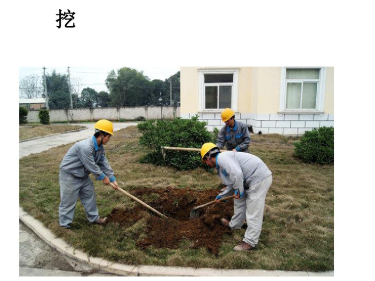 《发展汉语初级综合》第课PPT