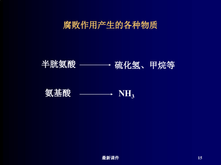 蛋白质分解代谢过程PPT