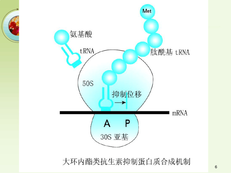 化疗药物PPT