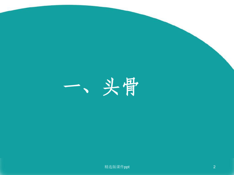 头骨及头部肌肉结构PPT