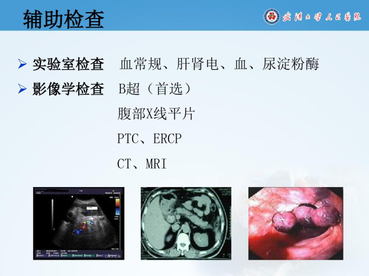 胆总管结石的护理查房PPT课件