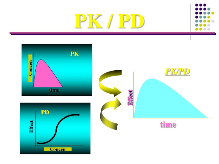 抗生素PKPD理论入门必读PPT课件