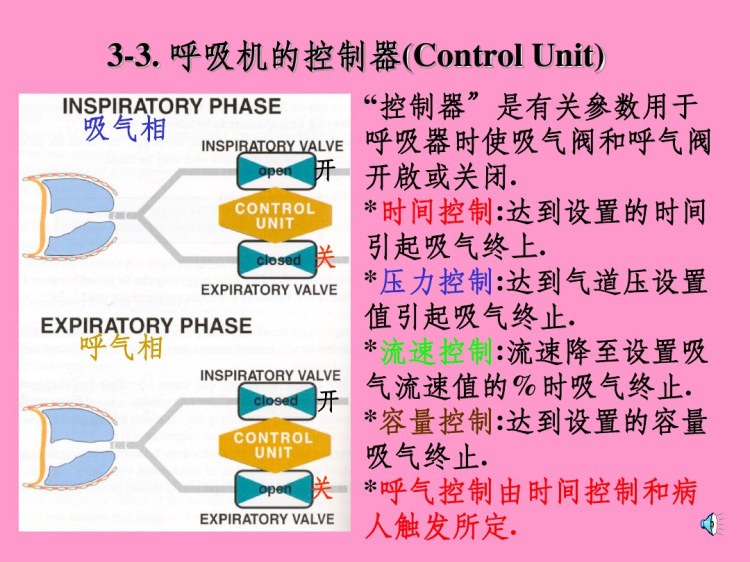 呼吸机构成PPT