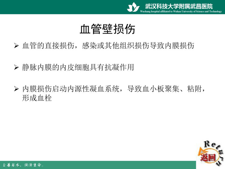 静脉血栓栓塞症及预防PPT