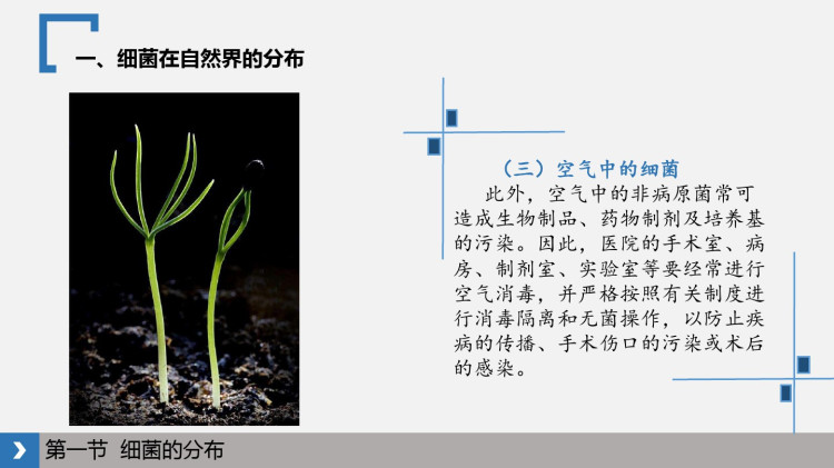 病原生物学与免疫学第三章PPT