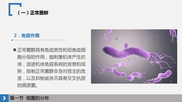 病原生物学与免疫学第三章PPT