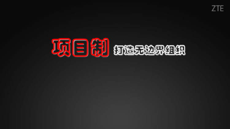 15页中兴项目制打造无边界组织PPT