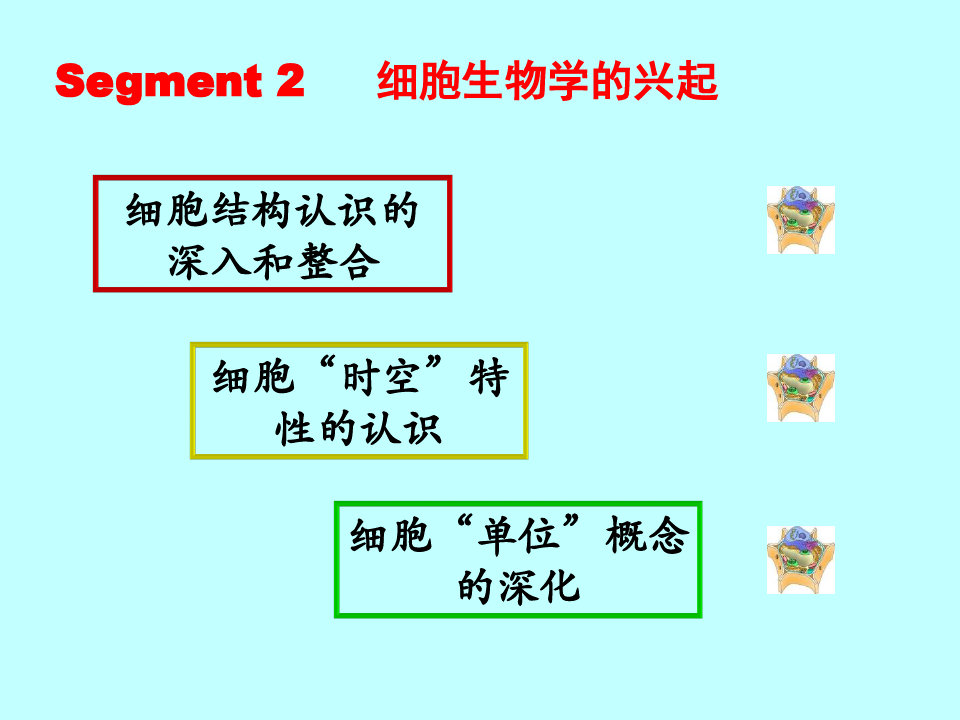 细胞生物学PPT概述概论PPT