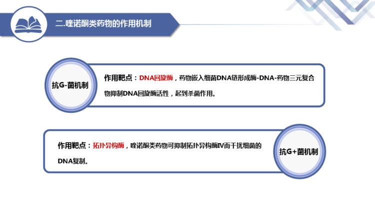 喹诺酮类抗菌药物的特点总结PPT