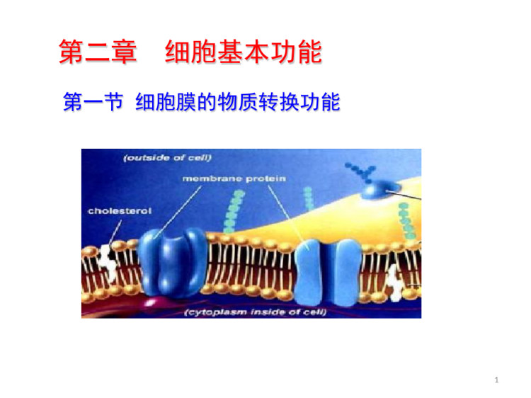 61页生理学：细胞基本功能细胞膜物质转运细胞信号转导PPT课件