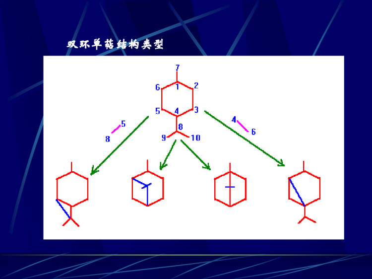 中药化学PPT萜类和挥发油PPT