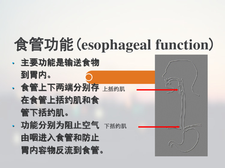 外科学PPT食管疾病食管癌等PPT