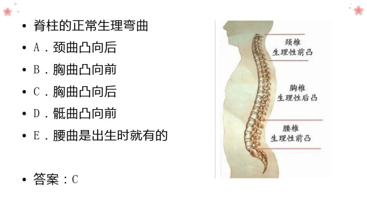 放射医学技术师基础知识PPT