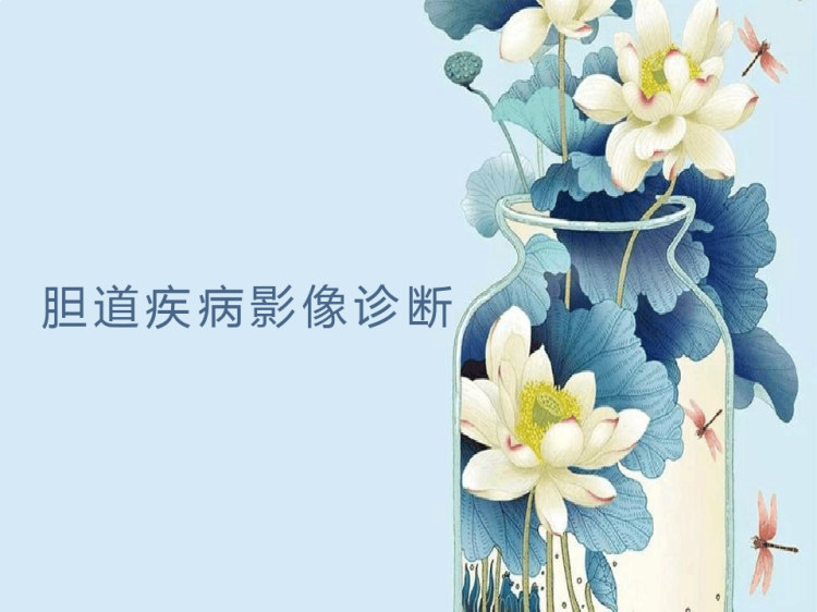 胆系胰腺疾病的影像诊断PPT