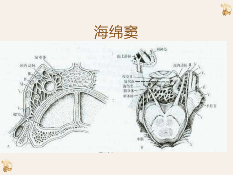 鞍区肿瘤的影像诊断与鉴别诊断PPT