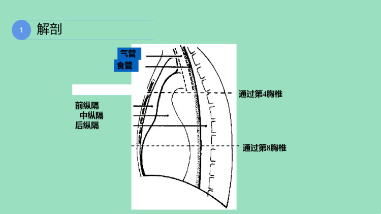 纵隔神经源性肿瘤的影像表现PPT
