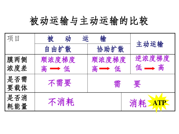 很好的动画效果细胞的物质输入和输出物质跨膜运输方式PPT