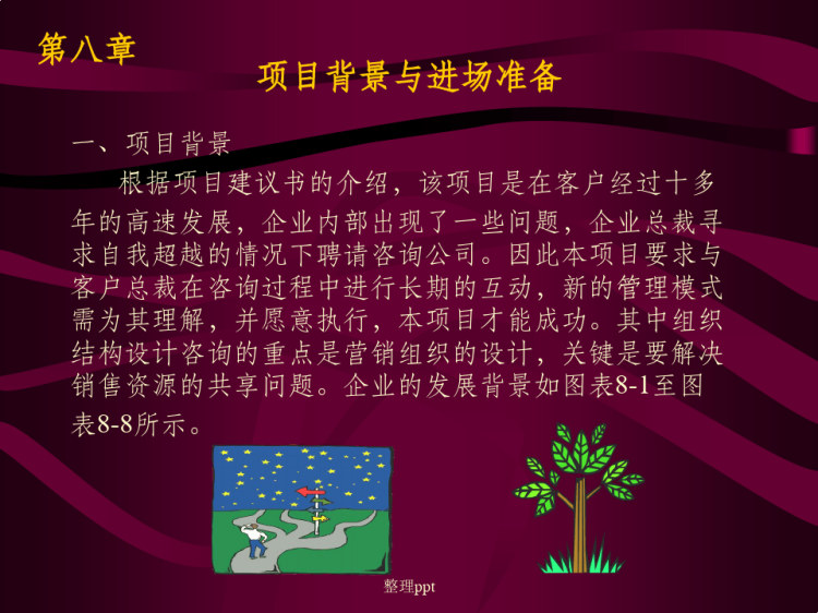 214页项目背景与进场PPT