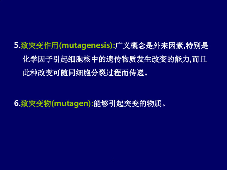 外源化学物的致突变作用及检测方法PPT