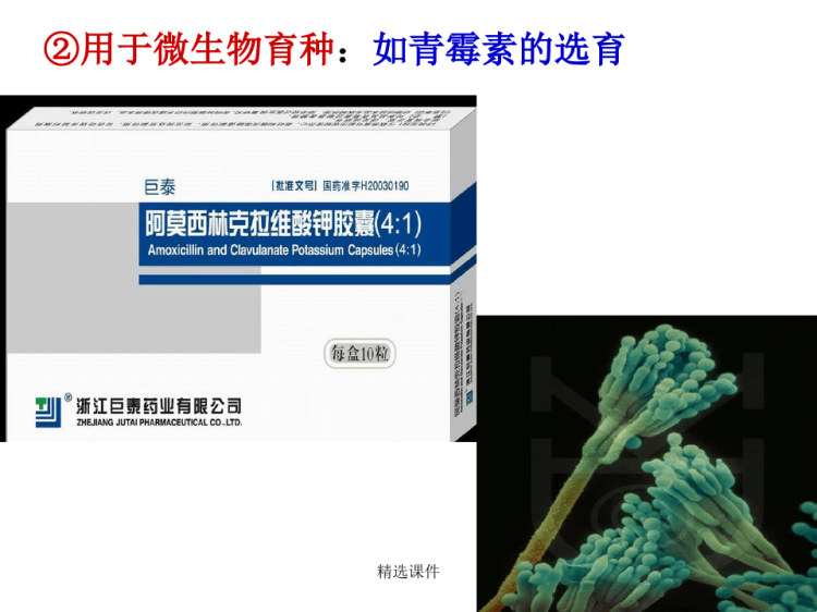 变异在生产上的应PPT