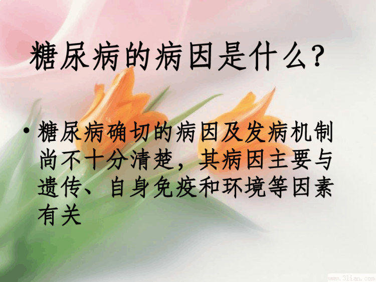 胰岛素种类及用法PPT