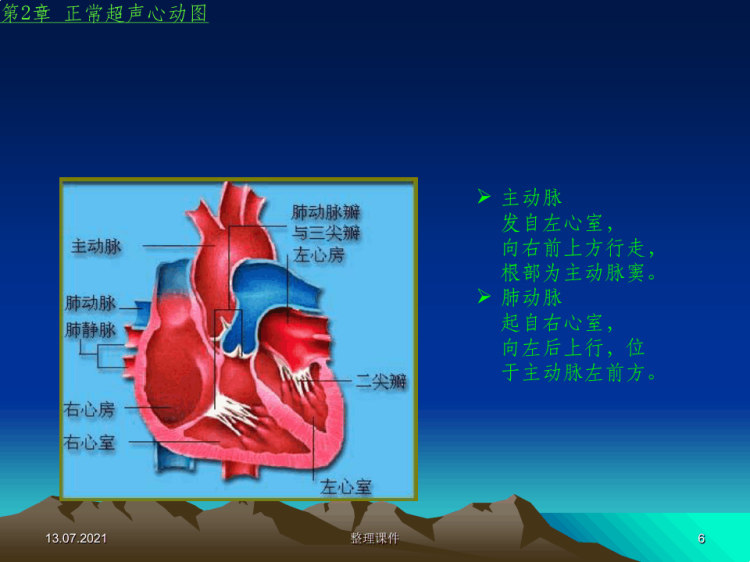 正常超声心动PPT