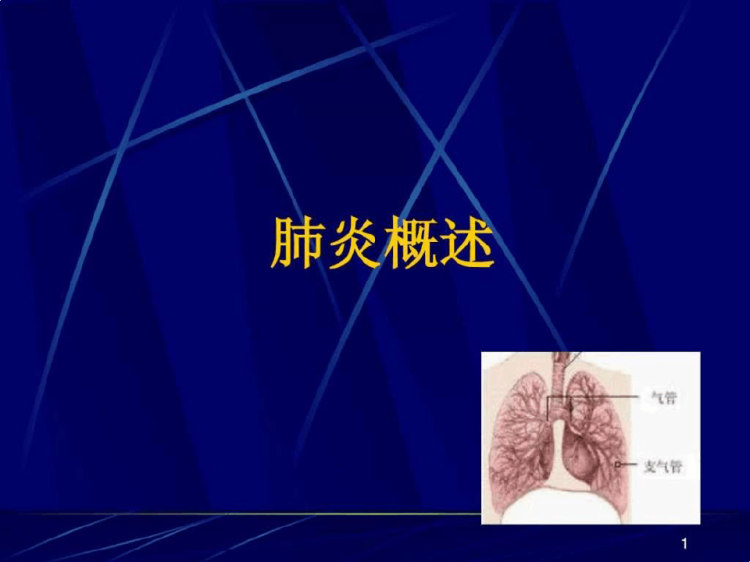 108页《肺炎病理》PPT