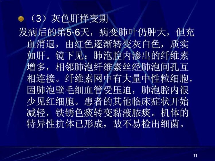 《肺炎病理》PPT