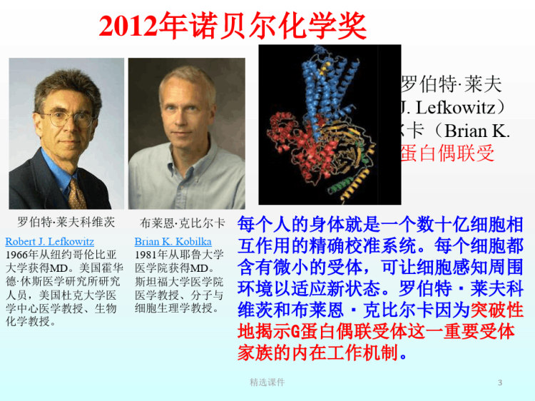 生命化学基础PPT