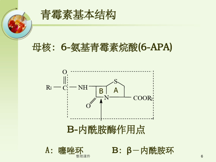 β药理学内酰胺类抗生素药理学PPT
