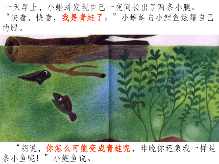 幼儿绘本故事鱼就是鱼PPT