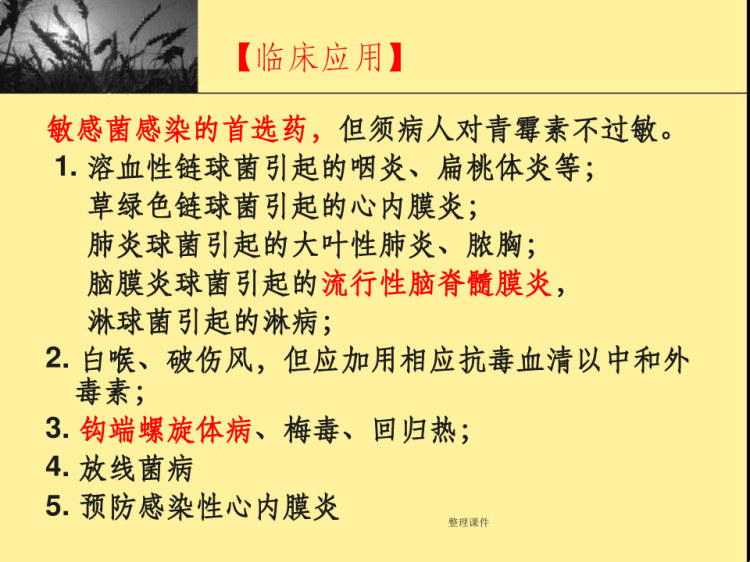 《内酰胺类抗生素》PPT