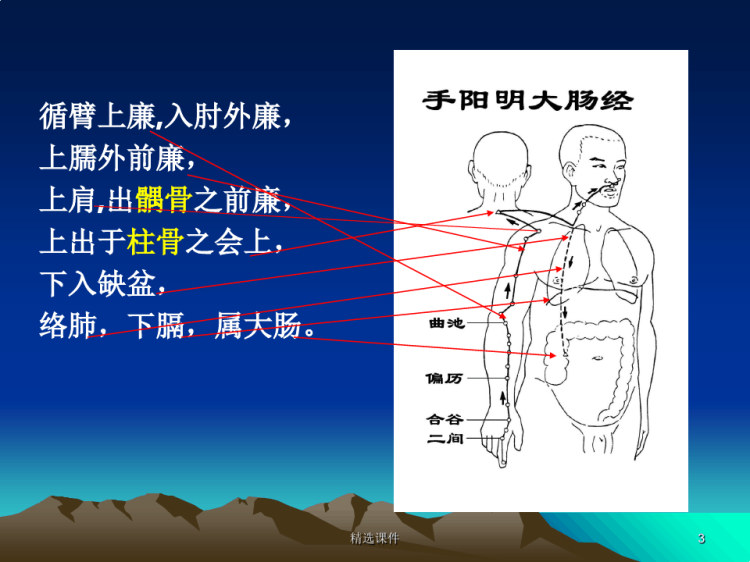 手阳明经络与腧穴PPT