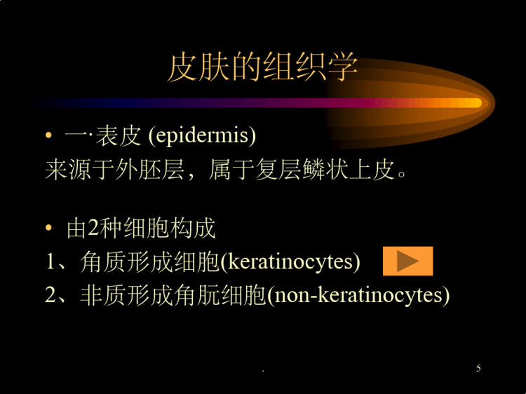 总论皮肤性病学PPT