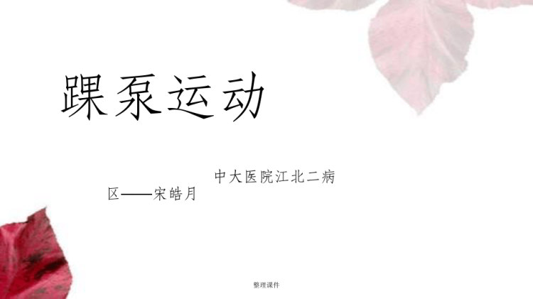 14页踝泵运动PPT