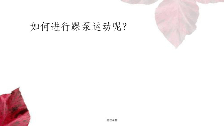 踝泵运动PPT