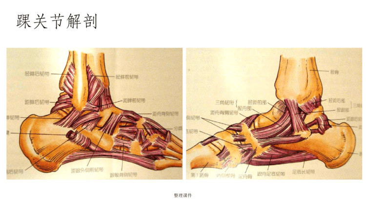 踝关节撞击综合征影像学表现PPT