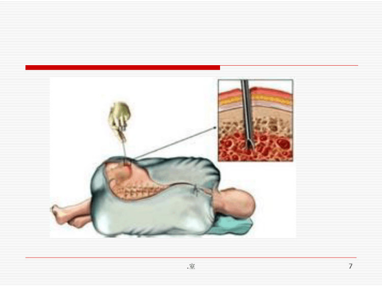 我的血液系统PPT