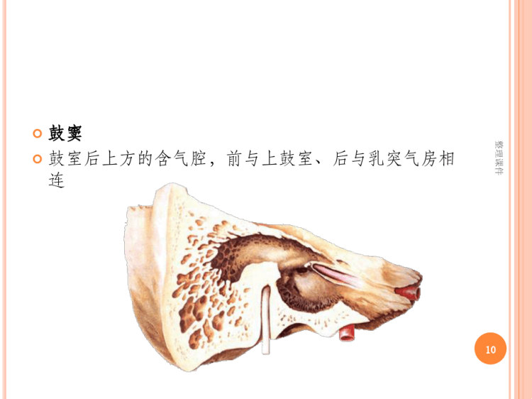 急性中耳炎PPT
