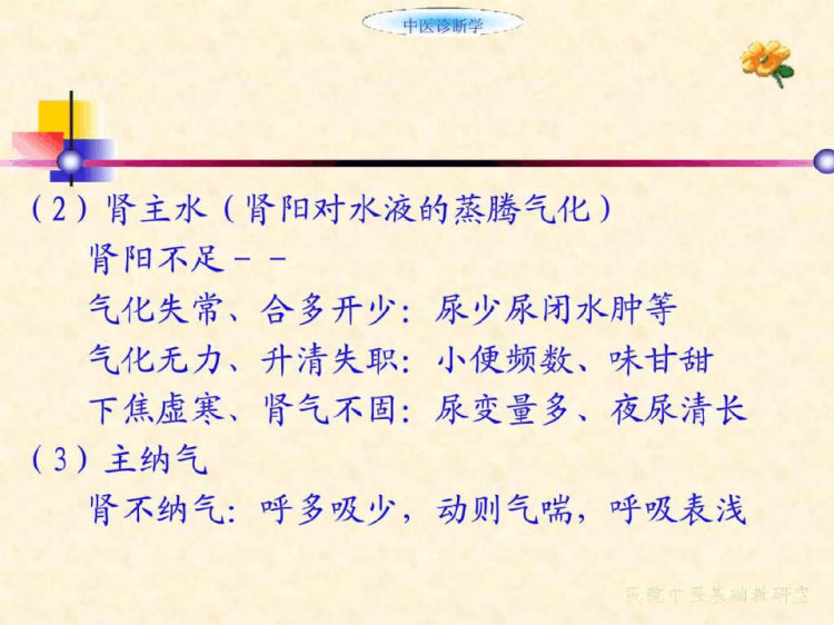 《辨肾病证候》PPT