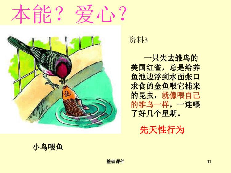 先天性行为和学习行为PPT